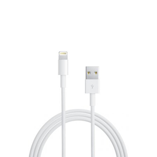 Câble Charge/Synchro USB 2,50m iPhone/iPad/iPod Lightning